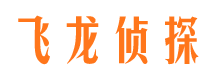 陕县市私家调查